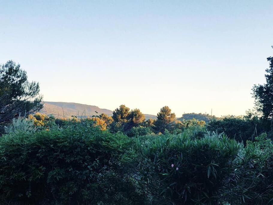 Entre Ventoux Et Luberon, Appartement Dans Maison. Malemort-du-Comtat Luaran gambar