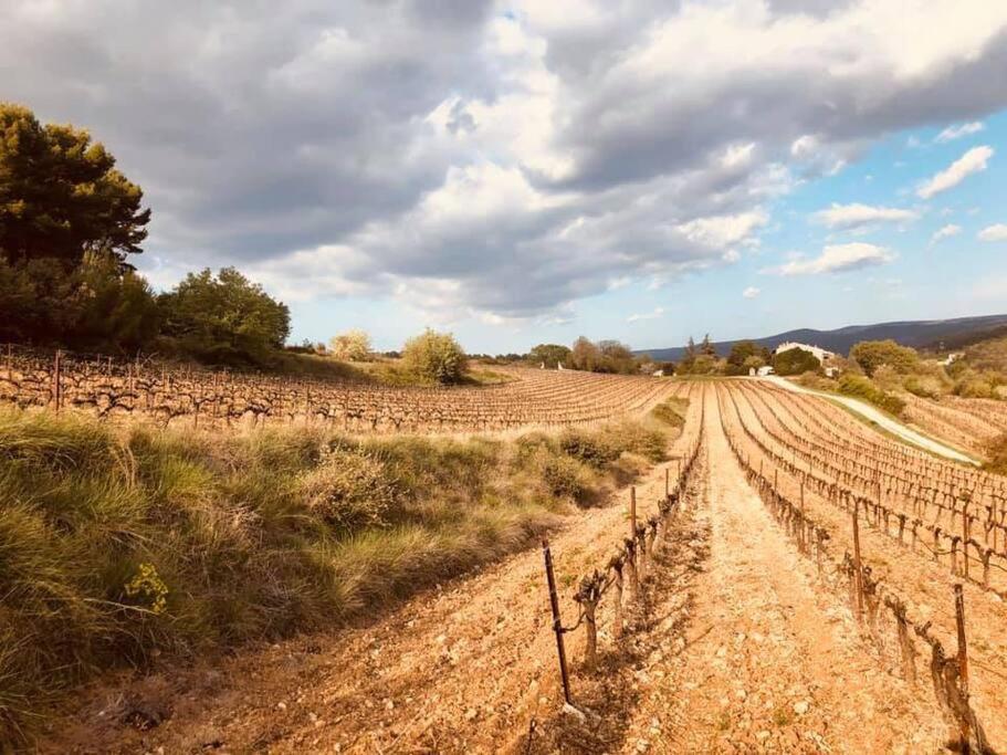 Entre Ventoux Et Luberon, Appartement Dans Maison. Malemort-du-Comtat Luaran gambar